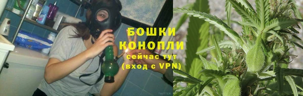 PSILOCYBIN Протвино