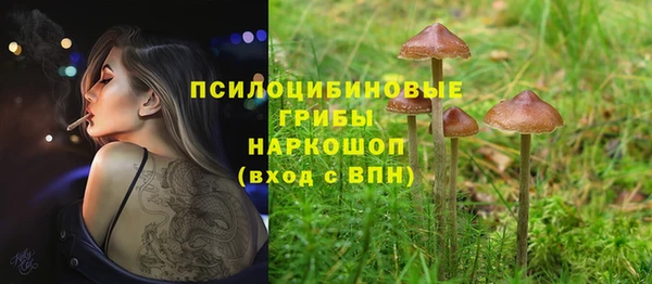 таблы Пролетарск