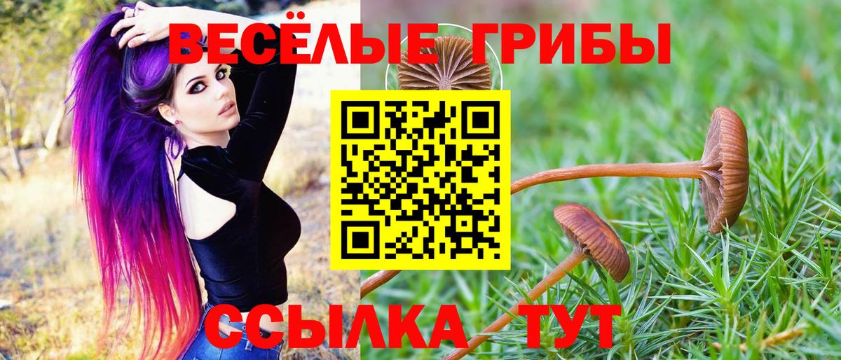 Галлюциногенные грибы Psilocybe  Вход с VPN  Стрежевой 